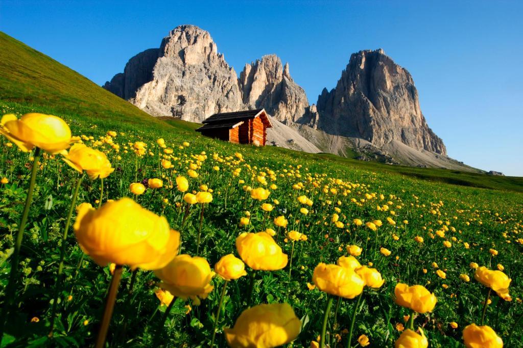 Hotel Col Di Lana Canazei Bagian luar foto